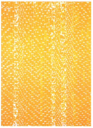 Alma Thomas, Orangery, 1973..jpg