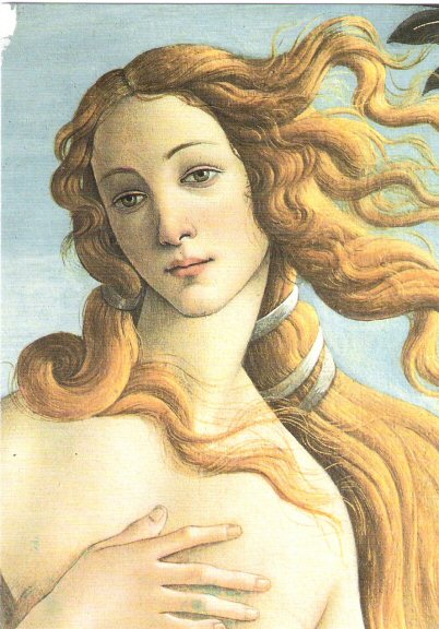 TheBirthofVenus 3.jpg