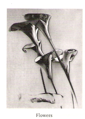 Man Ray . Portfolio size print. 015.jpg