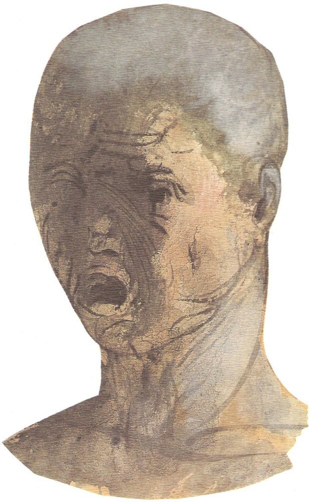 Tete D'Homme vue.jpg