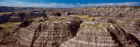 Horsethief Canyon, Drumheller