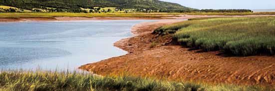 Shepody National Wildlife Area