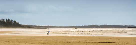 Surfers, Tofino