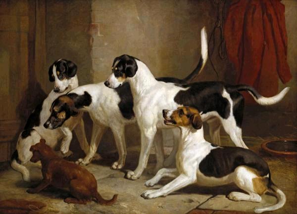 The Puckeridge Foxhound 