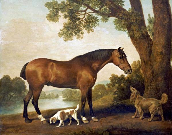 A Bay Hunter, a Springer Spaniel and a Sussex Spaniel, 1782  
