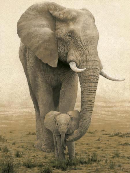 Momma's Boy   