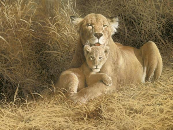 A Mother's Pride  