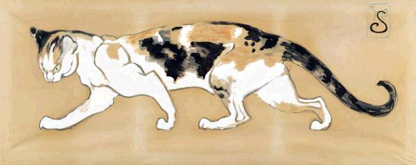 The Cat 