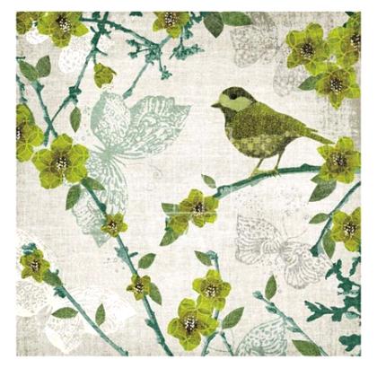 bird_butterfly_2 