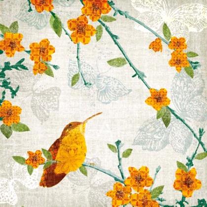 bird_butterfly_3 