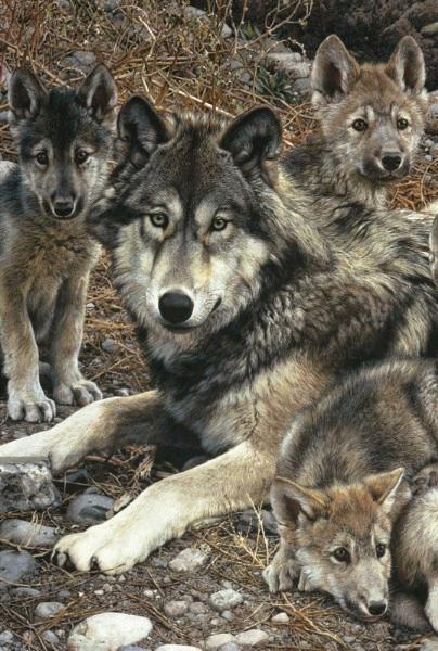 Den Mother   