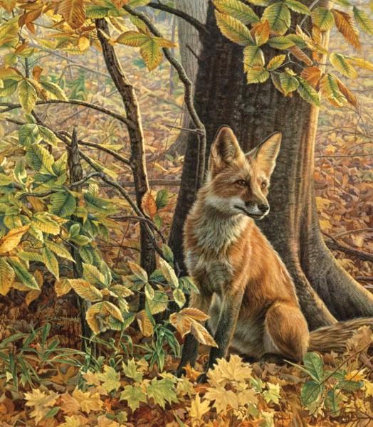 Eyes of Autumn  