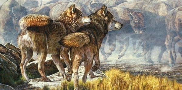 Return of the Wild 