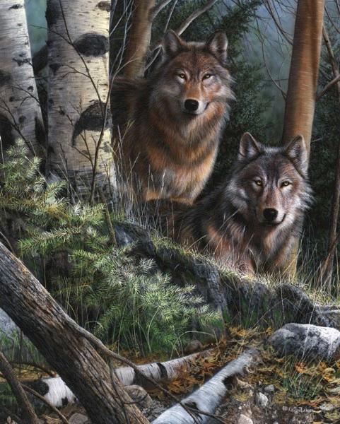 Watchful Eyes