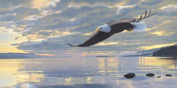 Dawn Flight