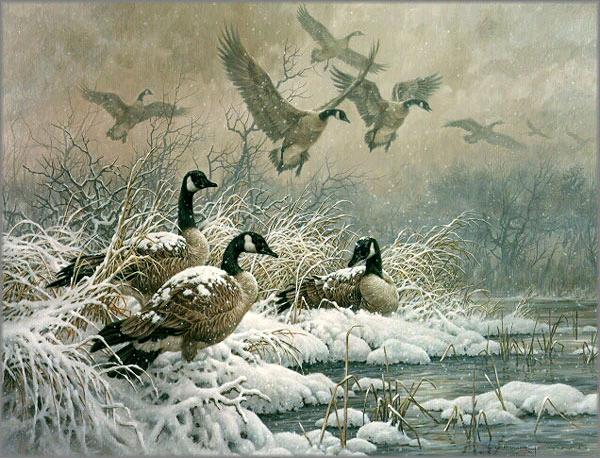 Winter Retreat