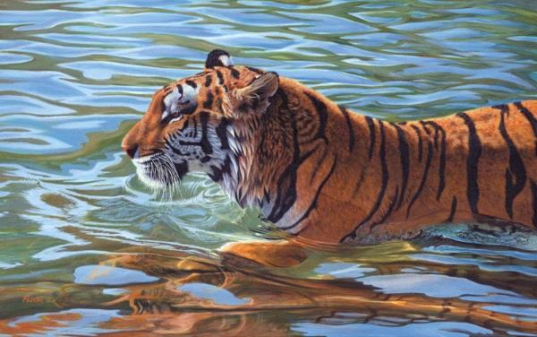 Afternoon Swim 