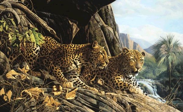Leopard Sentry 