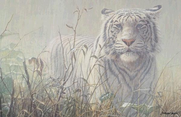 Monsoon- White Tiger  