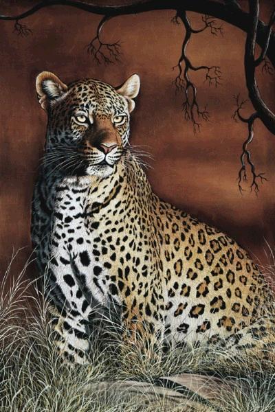 Sitting Leopard