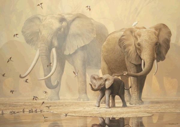 African Elephants and Namaqua Doves 