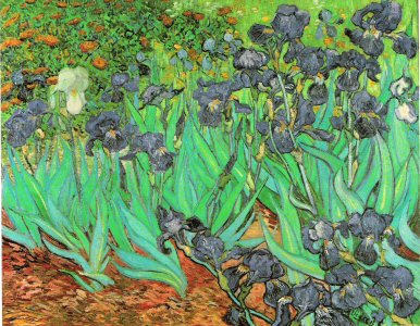 Vincent van Gogh, Irises, 1889..jpg