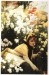 Krysanthemums 1874-1875 by James Jacques Joseph Tissot